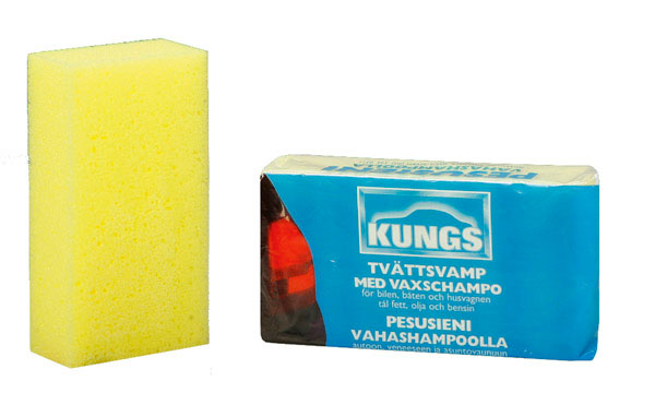 Vaskesvamp med shampoo